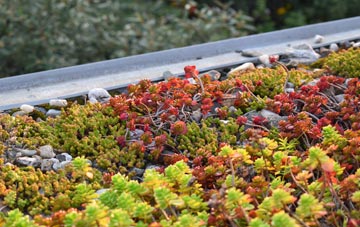 the cost of Darkland green roof installation
